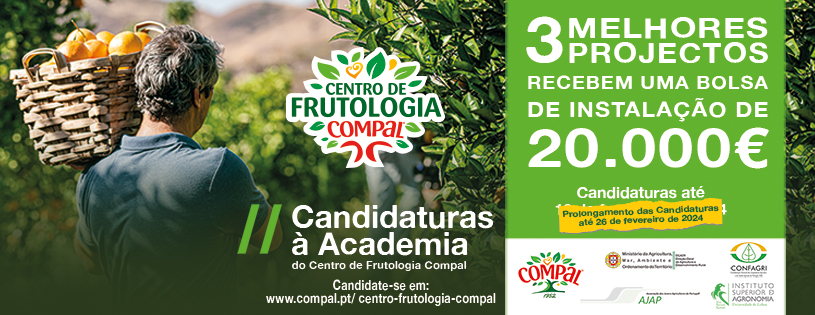 Candidaturas Prolongamento CFC