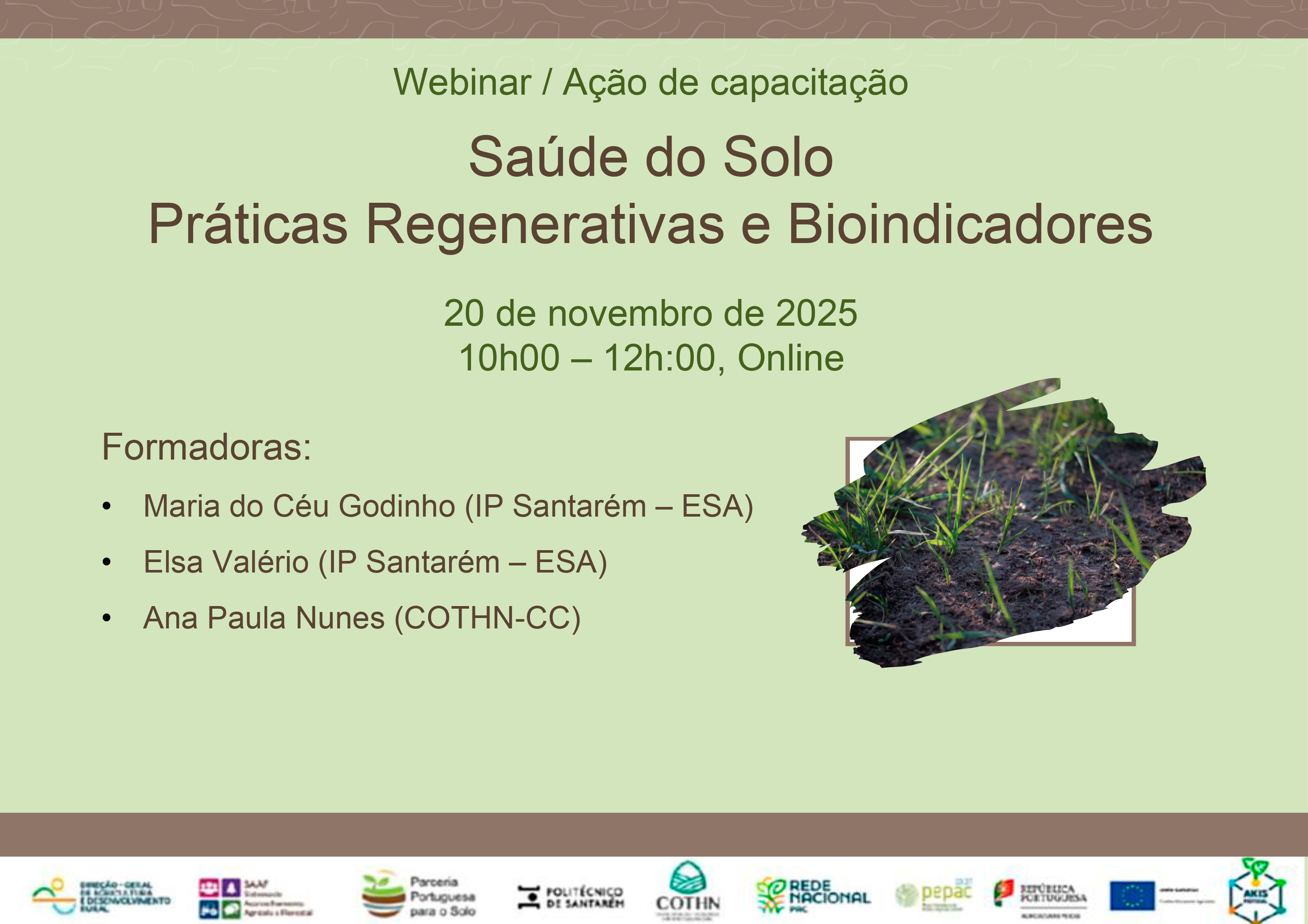 Webinar solo cartaz