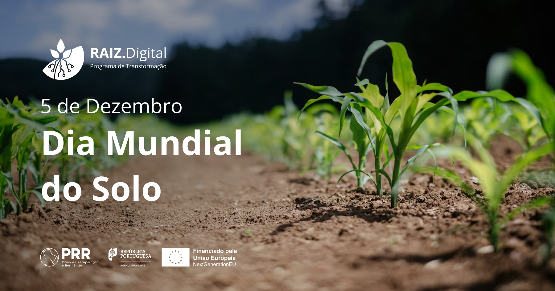 dia mundial solo