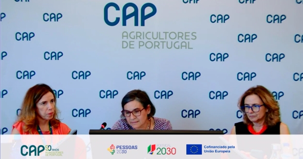 Webinar Suporte modos producao CAP