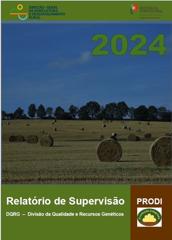 Relatorio de Supervisao PRODI 2024