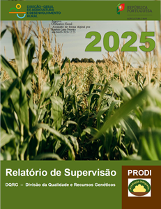 Relatorio de Supervisao PRODI 2024