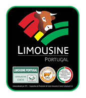 Limousine portugal