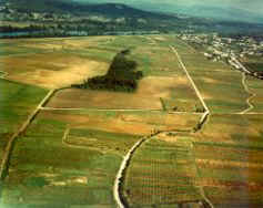i006756