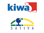 kiwa sativa